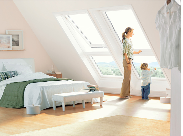 VELUX™ 5 Duane Mainardi Builders