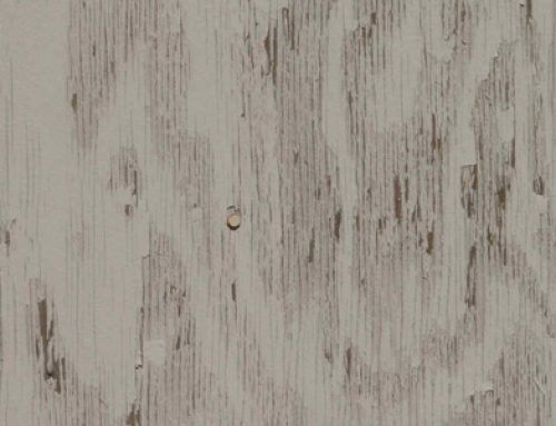 FireCode Plywood 101: Flawed Fire-Retardant Plywood Continues to Cause Homeowners Headaches